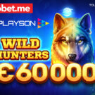 Playson Wild Hunters