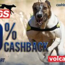 Dogs Cashback Mart