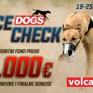 Dogs Race Check Septembar