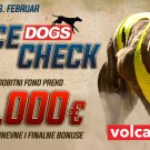 Dogs Race Check Februar