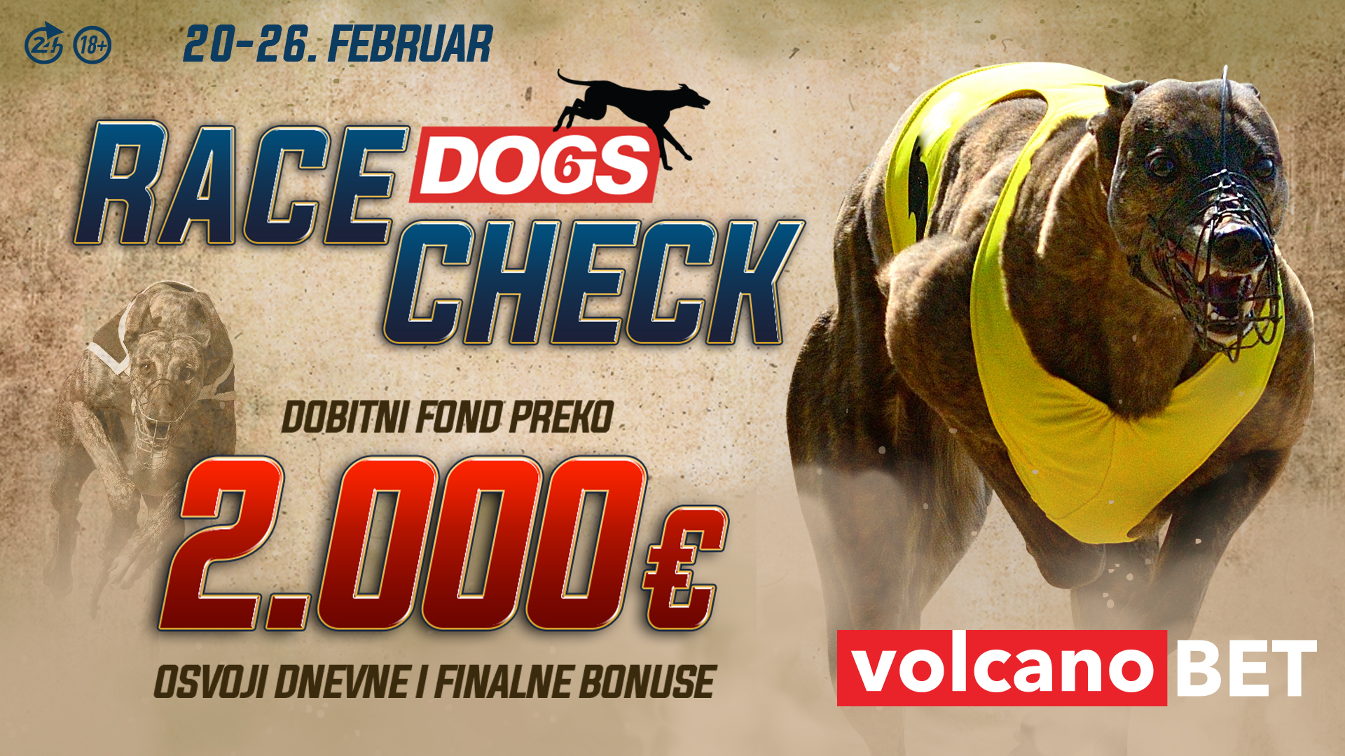 Dogs Race Check Februar