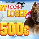 Dogs Lucky Loser