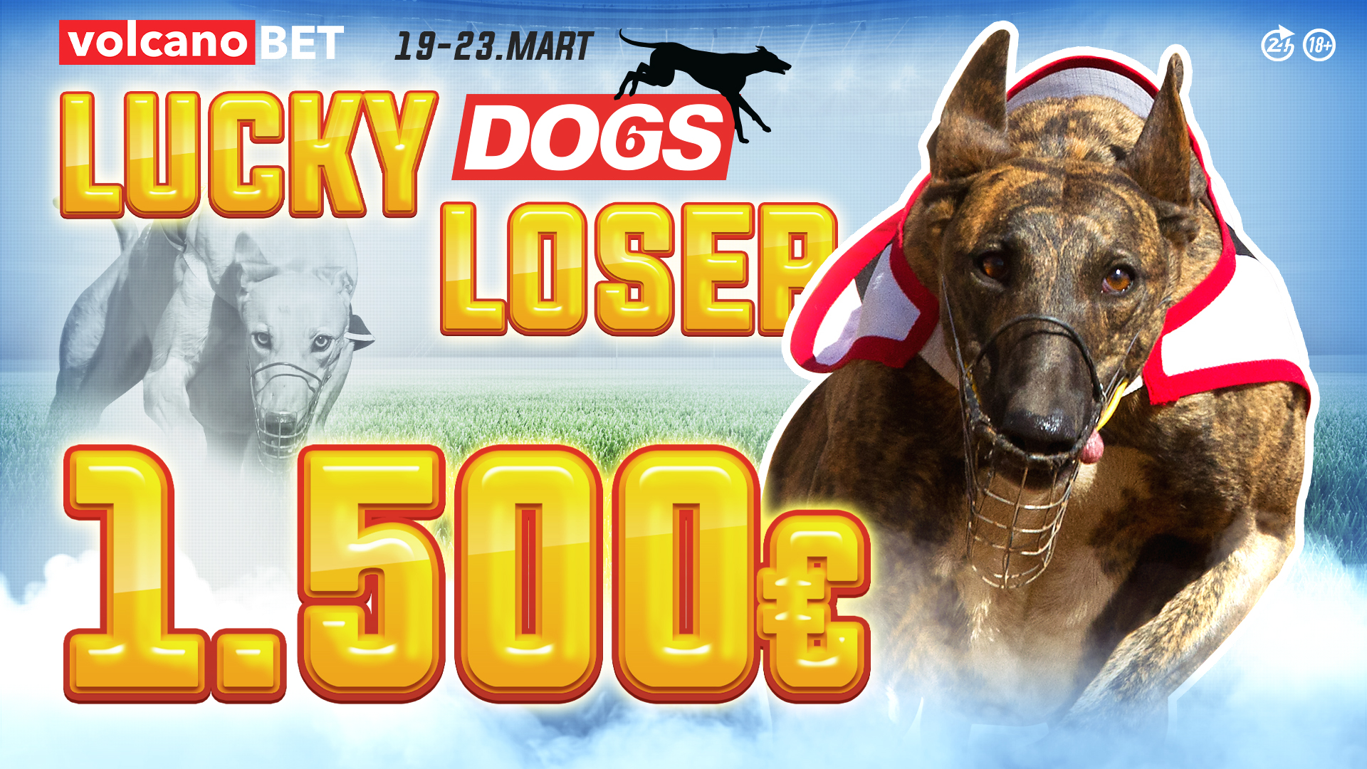 Dogs Lucky Loser