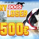 Dogs Lucky Loser Maj