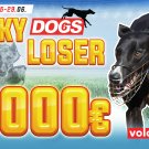 Dogs Lucky Loser Jun