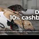 Dogs Cashback Maj