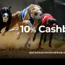 Dogs Cashback Jul