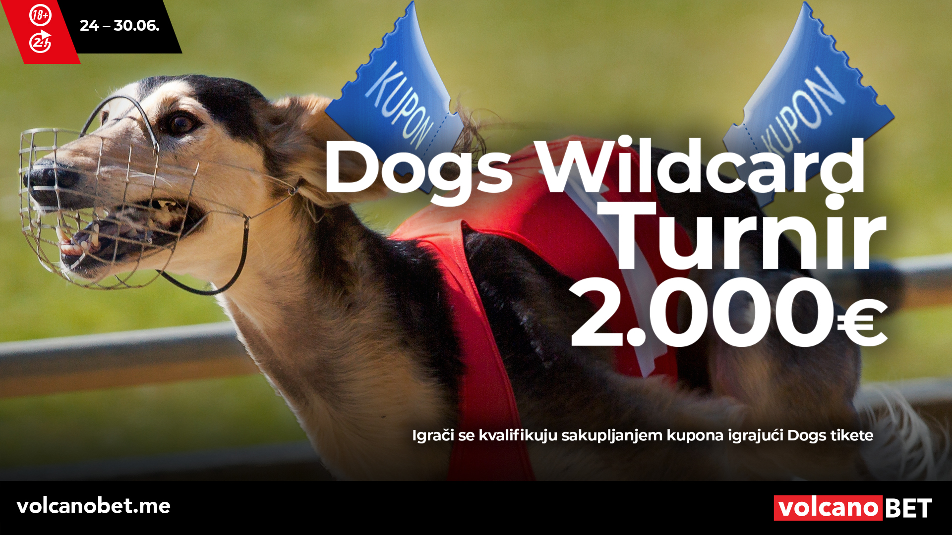 Dogs Wildcard Turnir Jun 2