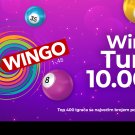 Wingo turnir Jul 3